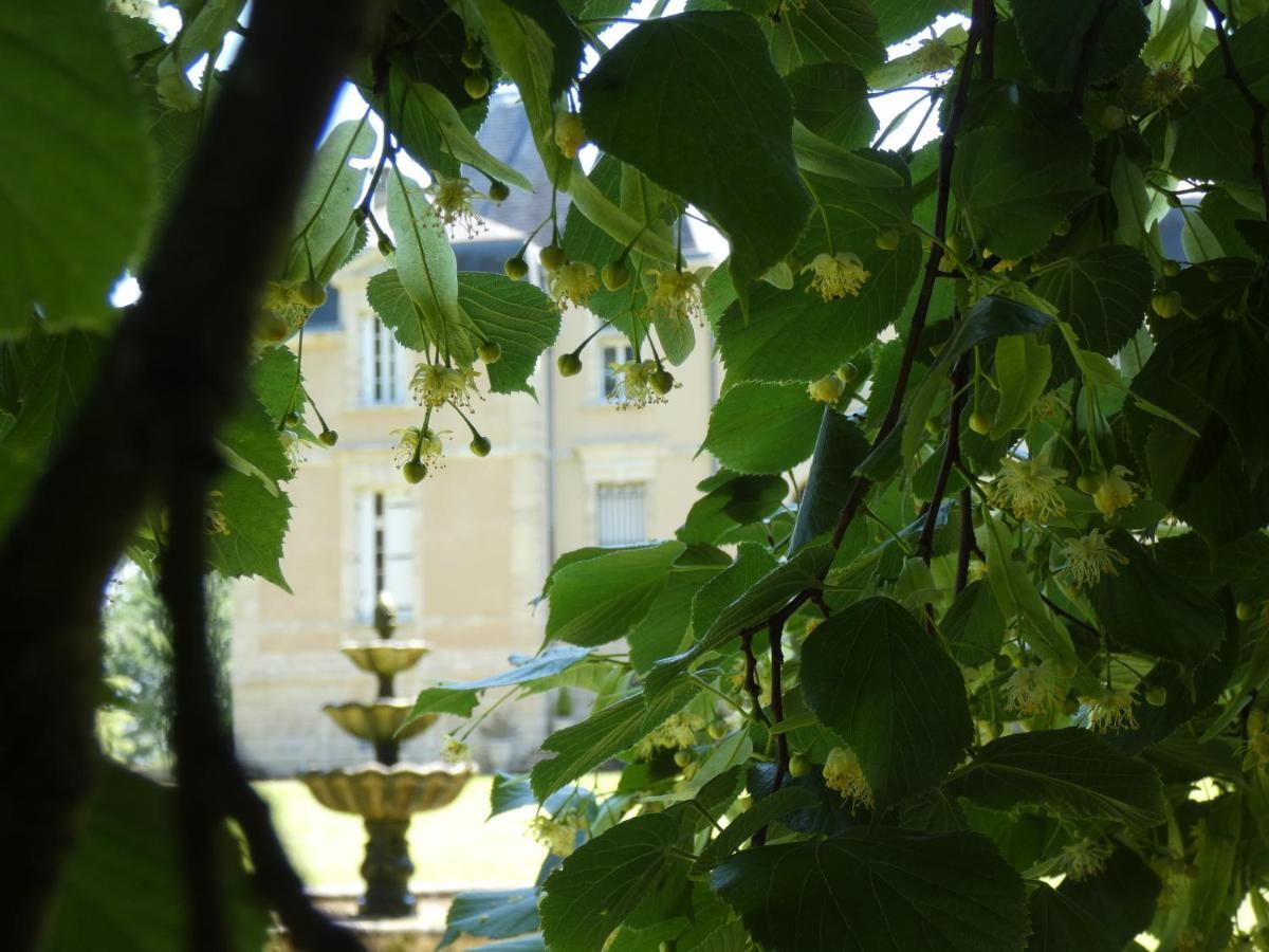 Chateau Marith - Etablissement Climatise Avec Piscine Ξενοδοχείο Clairac  Εξωτερικό φωτογραφία